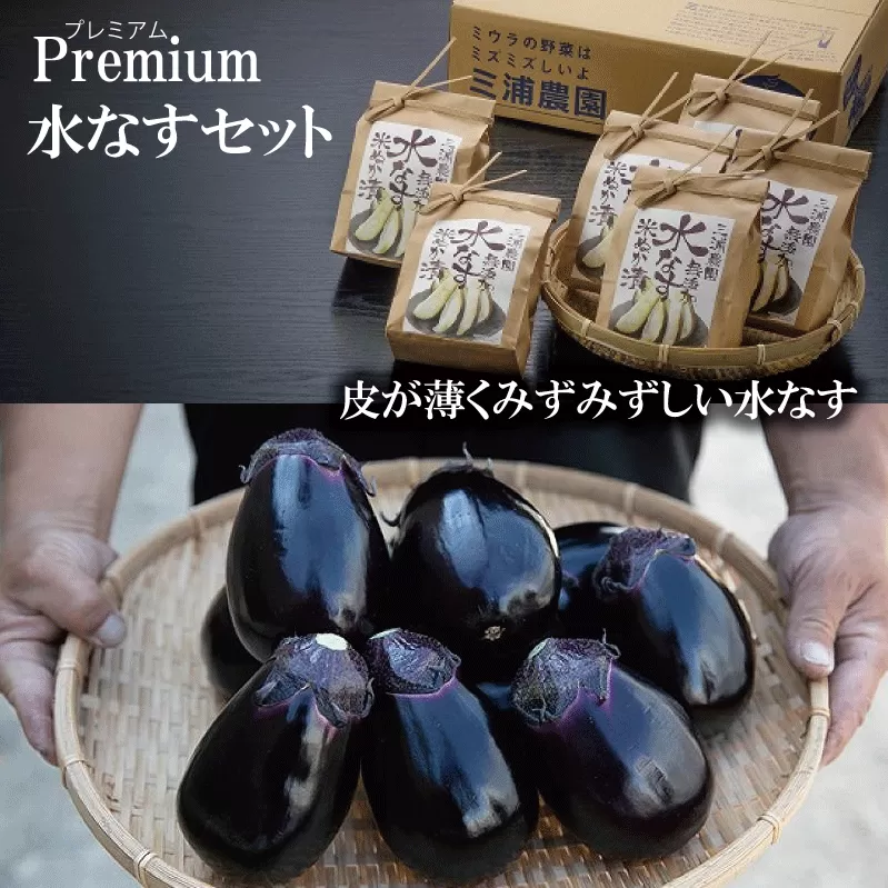 【Premium】水なすセット【新鮮 野菜 泉佐野産 茄子 やさい 高評価 数量限定】 020C066