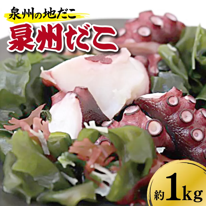 洗い泉州タコ1ｋｇ 099H070