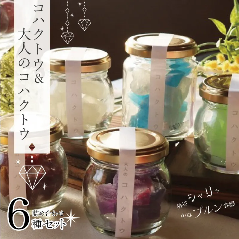 コハクトウ・大人のコハクトウ詰め合わせ 010B377