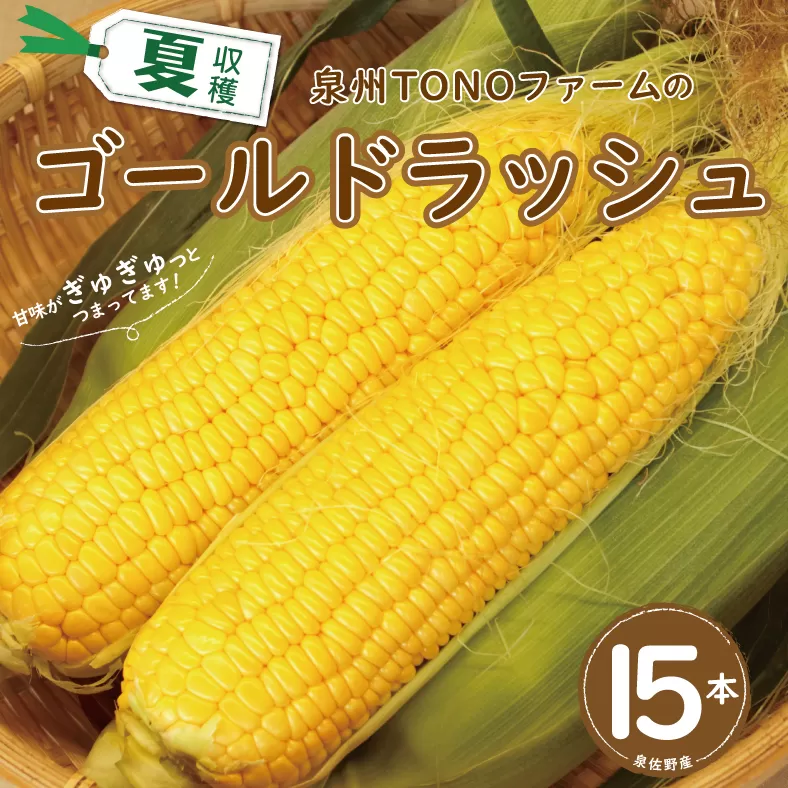 ゴールドラッシュ 15本【新鮮 野菜 泉佐野産 とうもろこし コーン やさい TONOファーム 数量限定 先行予約】 G1107