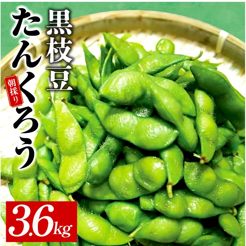【畑から直送 朝採り】黒枝豆 3.6kg 【新鮮 野菜 泉佐野産 えだまめ やさい TONOファーム 高評価 数量限定】 G1108