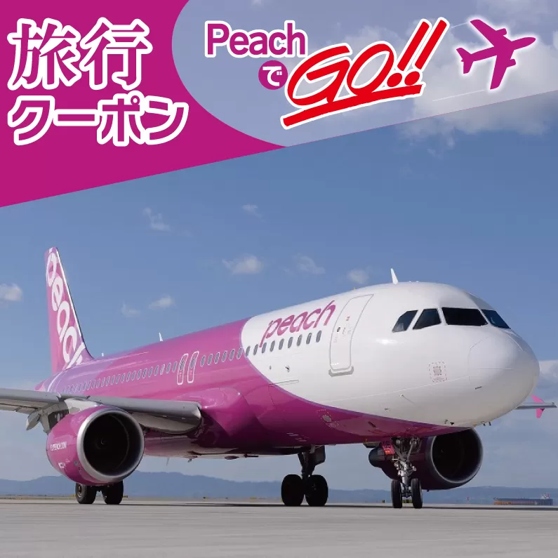 PeachでGo！！泉佐野市宿泊 旅行クーポン（150,000円分）【宿泊 旅行 ホテル トラベル】 099H388