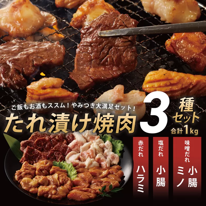 アキラ商店 3種盛り合わせセット 合計 1kg 焼肉用ホルモン 牛肉 ハラミ ミノ 小腸