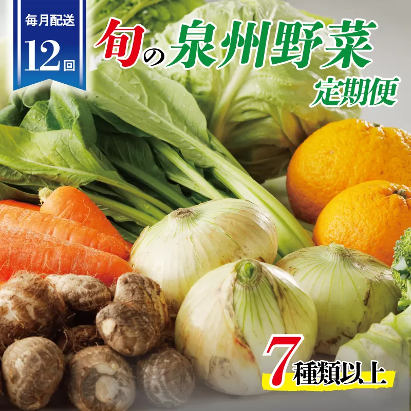泉州野菜 定期便 全12回 7種類以上 詰め合わせ 国産 新鮮 冷蔵【毎月配送コース】