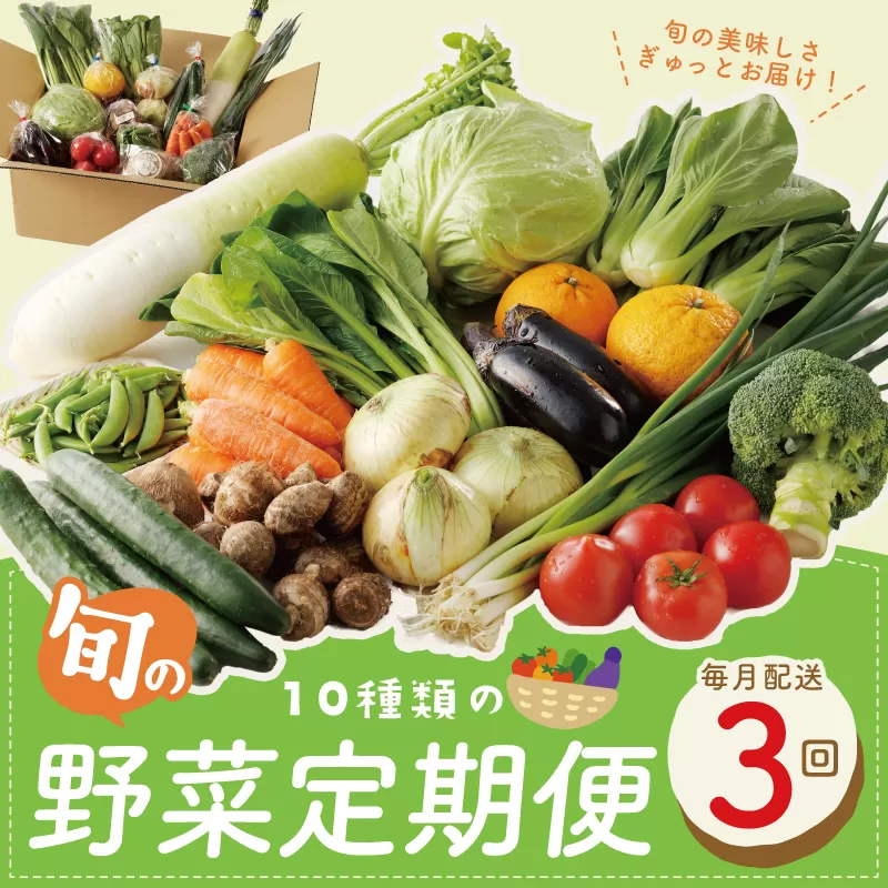 10種類の新鮮野菜 定期便 全3回 詰め合わせ 国産 冷蔵発送【毎月配送コース】