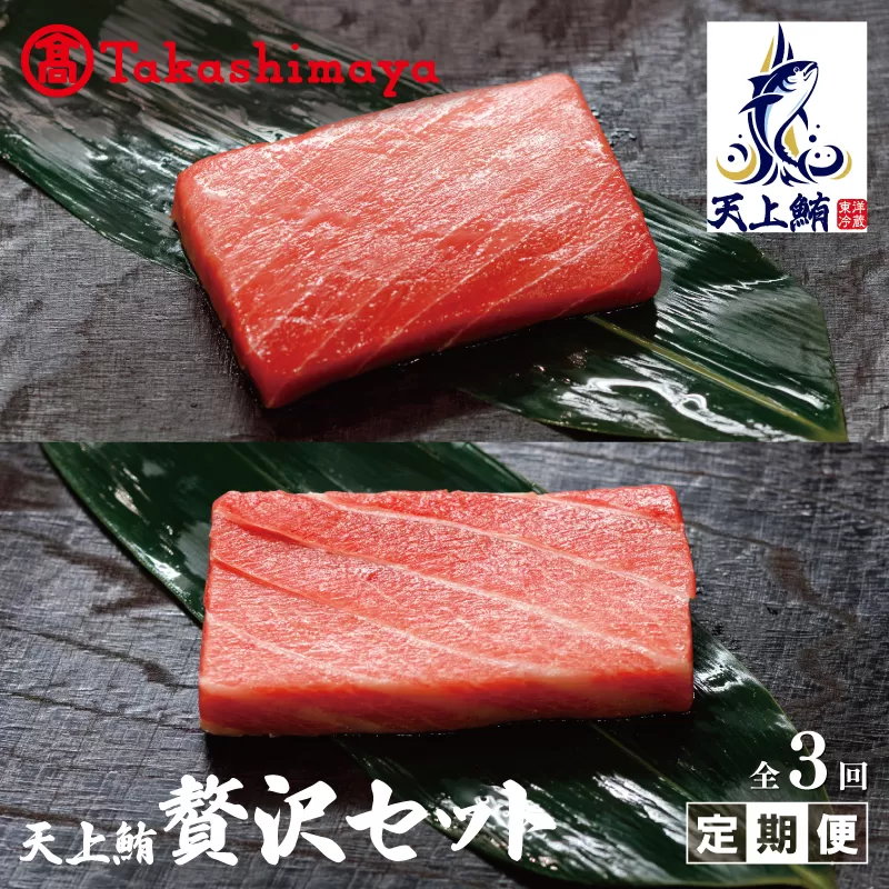 【高島屋選定品】<東洋冷蔵> 天上鮪 贅沢セット 定期便 全3回【毎月配送 刺身 海鮮丼 鮪 まぐろ マグロ 小分け】