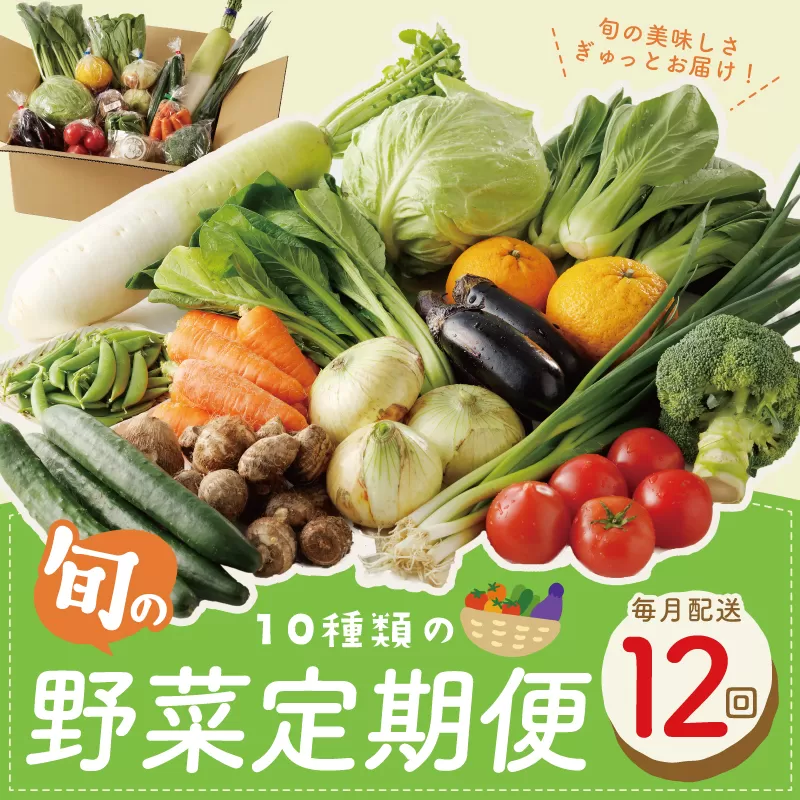 10種類の新鮮野菜 定期便 全12回 詰め合わせ 国産 冷蔵発送 年間【毎月配送コース】