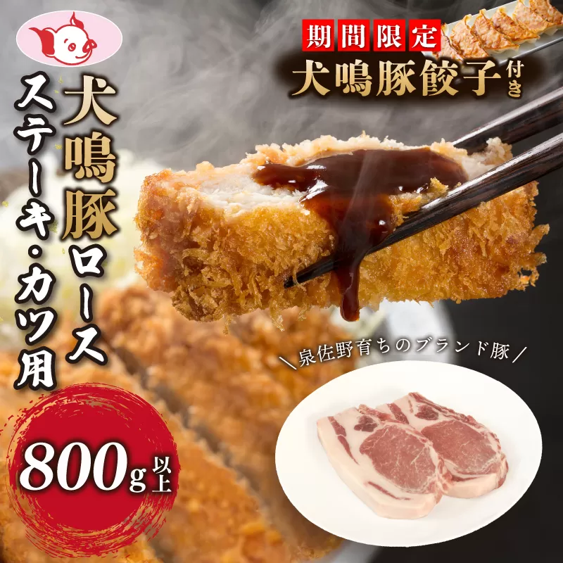 【泉佐野ブランド豚】犬鳴豚 ロースステーキ  カツ用 800g以上＋犬鳴豚餃子 6個【国産 豚肉 工場直送 ぶた とんかつ ステーキ 期間限定 数量限定】