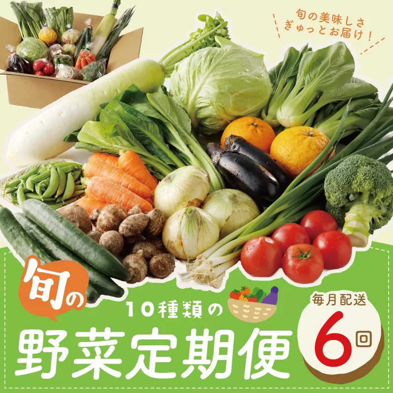 10種類の新鮮野菜 定期便 全6回 詰め合わせ 国産 冷蔵発送 半年【毎月配送コース】