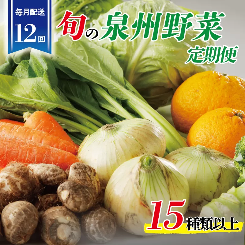 泉州野菜 定期便 全12回 15種類以上 詰め合わせ 国産 新鮮 冷蔵【毎月配送コース】