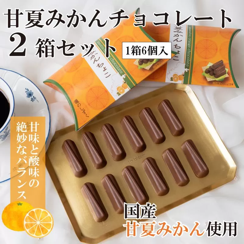 【スピード発送】甘夏みかんチョコレート 2箱セット  瀧のしずく