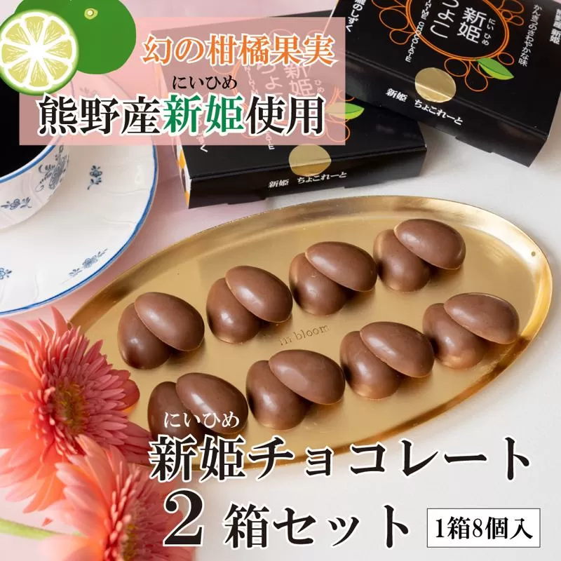 【スピード発送】新姫(にいひめ)チョコレート 2箱セット  瀧のしずく