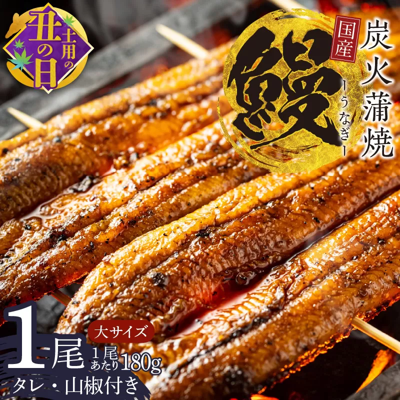 【7/19土用の丑の日】国産うなぎ 大サイズ 180g×1尾 タレ 山椒付き 有頭 炭火 蒲焼