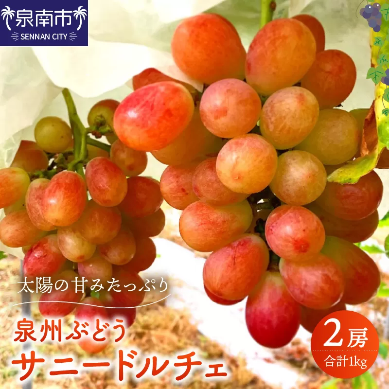 泉州ぶどう 太陽の甘みたっぷりサニードルチェ【065D-018】