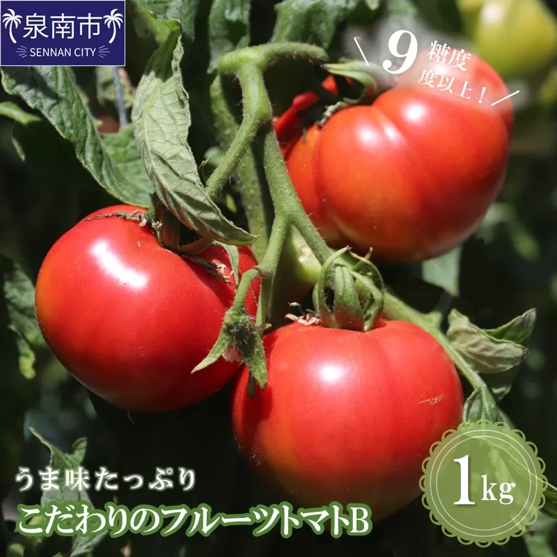 【糖度9度以上】うま味たっぷり こだわりのフルーツトマトB 1kg【配送不可地域：北海道・沖縄・離島】【093E-001】