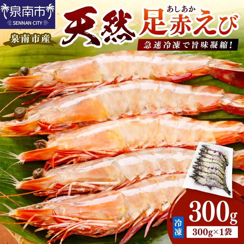 大阪府泉南市産 天然足赤エビ 300g【058D-008】