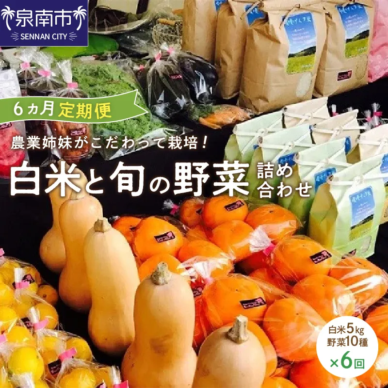 農業姉妹がこだわって栽培！白米5kgと旬の厳選野菜10種 半年定期便【024A-030】