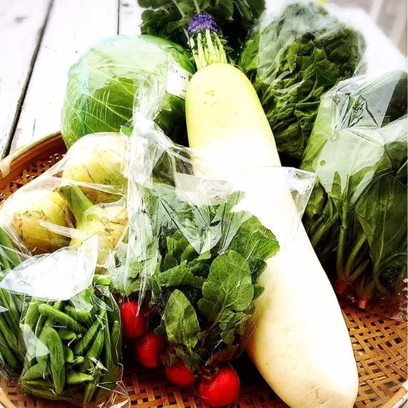 直売所の泉南産旬野菜セット詰め合わせ 100サイズ箱【015E-009】