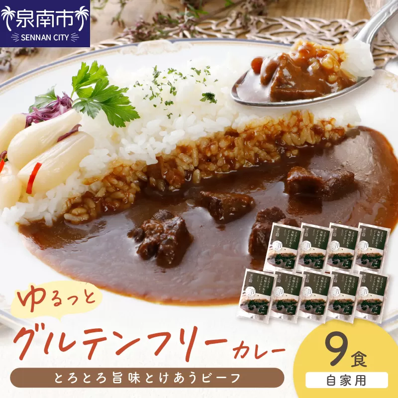 【自家用 化粧箱なし】ゆるっとグルテンフリー とろとろ旨味とけあうビーフカレー（中辛）9食セット【092D-013】