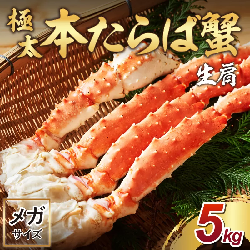 【年内配送】【2肩約5kgの超極太10L以上メガサイズ】一番人気！ 本たらば蟹 生肩 約5kg 折れなし選別【087A-003】
