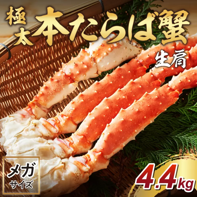 【2肩約4.4kgの10Lサイズ】一番人気！ 本たらば蟹 生肩 約4.4kg 目視選別【087A-007】