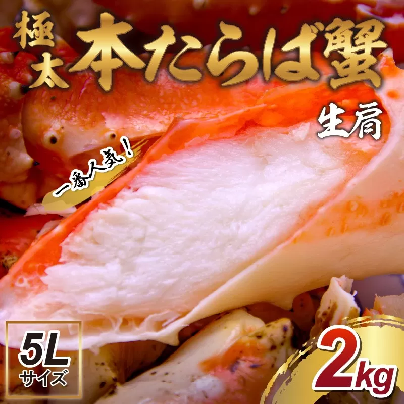 【年内配送】【2肩約2kgの極太5Lサイズ】一番人気！ 本たらば蟹 生肩 約2kg 折れなし選別【087B-028】