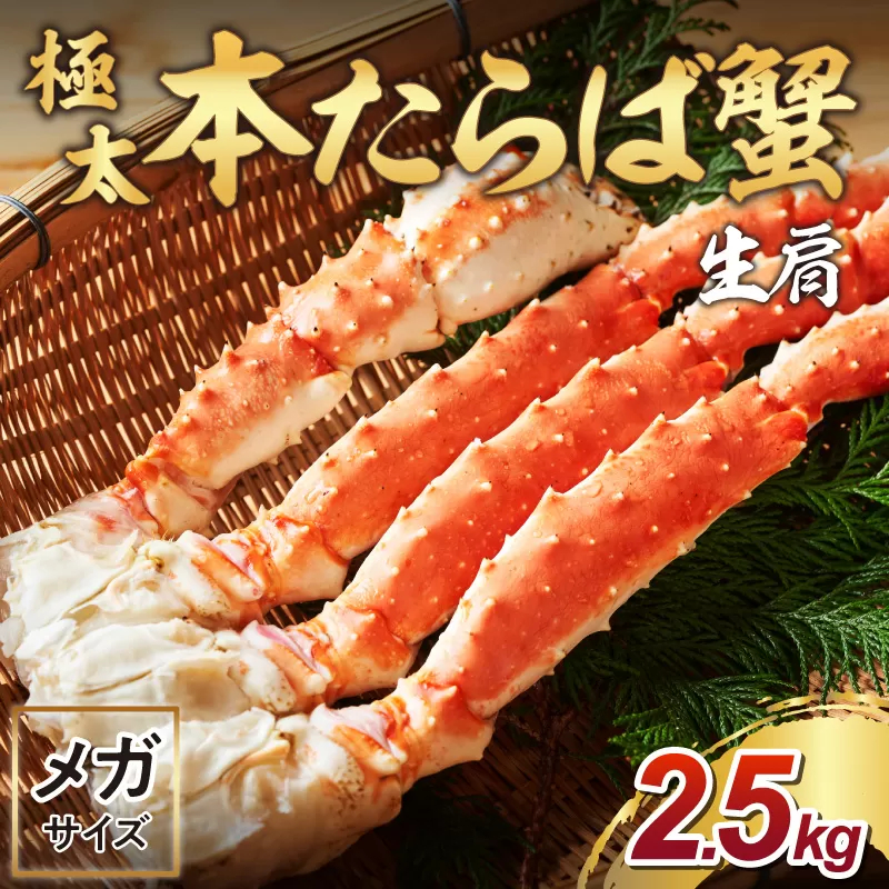 【年内配送】【1肩約2.5kgの超極太10L以上メガサイズ】本たらば蟹 生肩 約2.5kg 折れなし選別【087B-030】