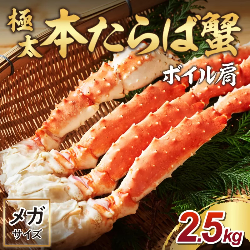 【年内配送】【1肩約2.5kgの超極太10L以上メガサイズ】本たらば蟹 ボイル肩 約2.5kg 折れなし選別【087B-031】