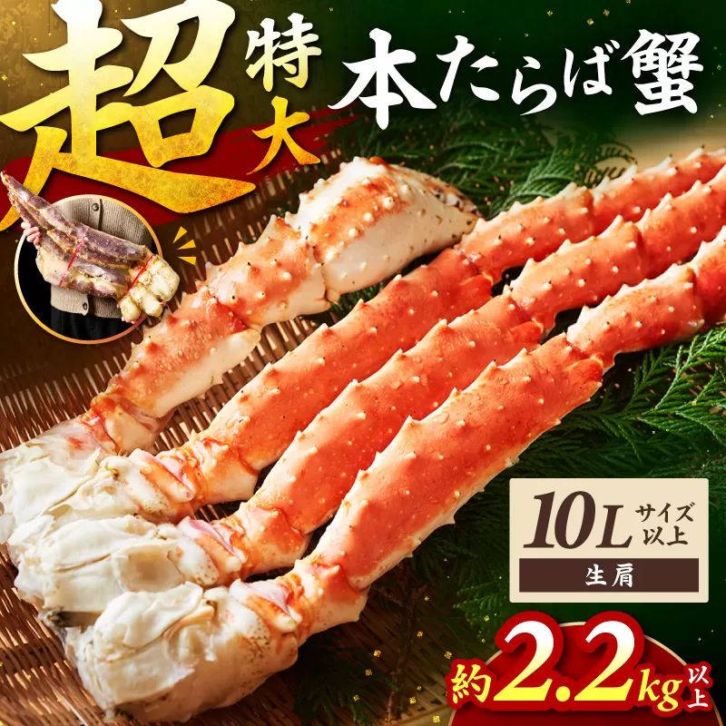 【1肩約2.2kgの10Lサイズ以上】本たらば蟹 生肩 約2.2kg～ 目視選別【087B-048】