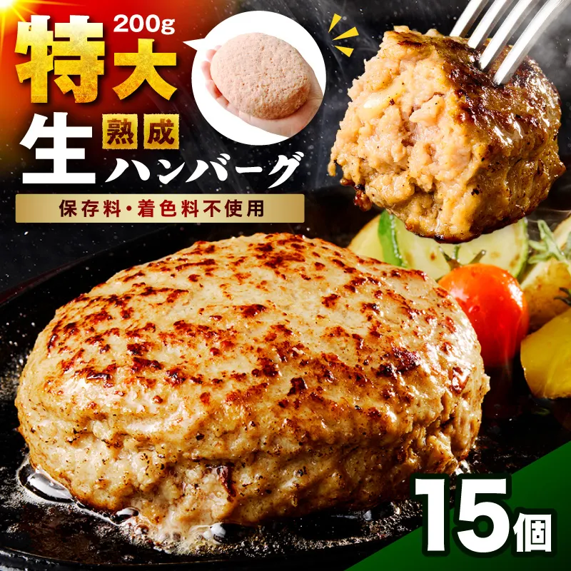 【無添加・粗挽き】食べ応え抜群！生ハンバーグ 200g 15個【087C-080】