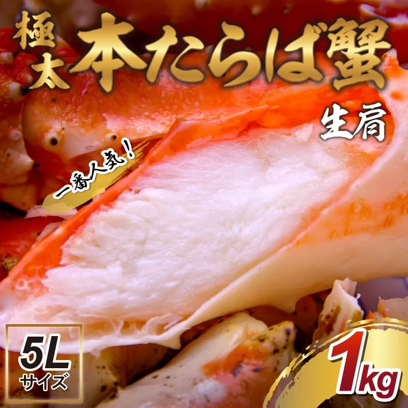 【年内配送】【1肩約1kgの極太5Lサイズ】一番人気！ 本たらば蟹 生肩 約1kg 折れなし選別【087C-052】