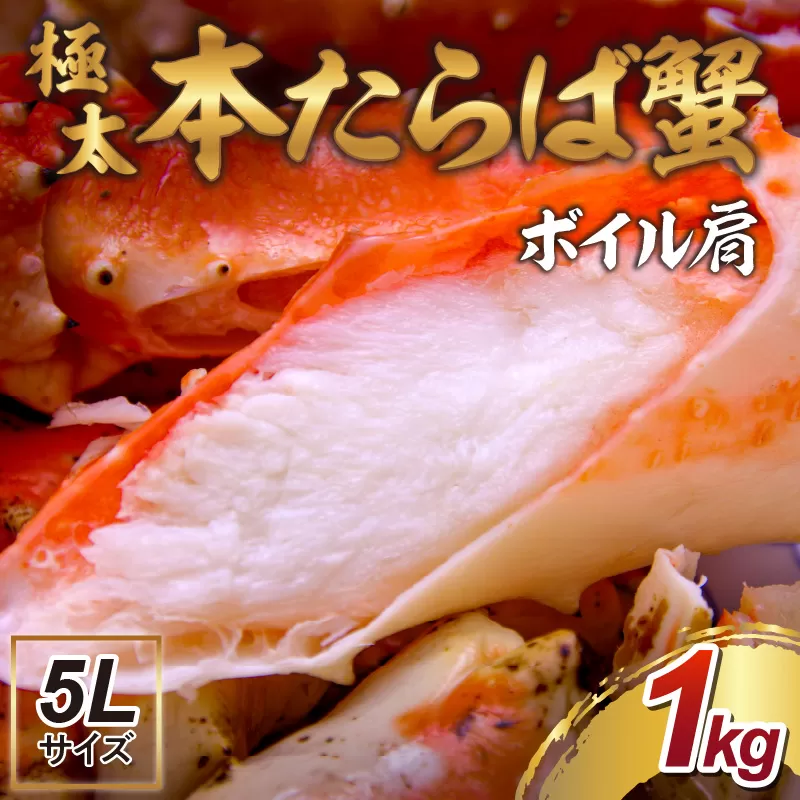 【年内配送】【1肩約1kgの極太5Lサイズ】本たらば蟹 ボイル肩 約1kg 折れなし選別【087C-053】