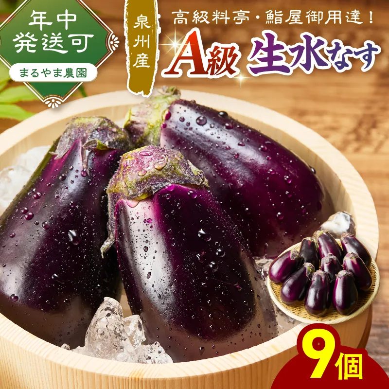 まるやま農園 泉州水なす A級生水なす 9個入【087D-142】