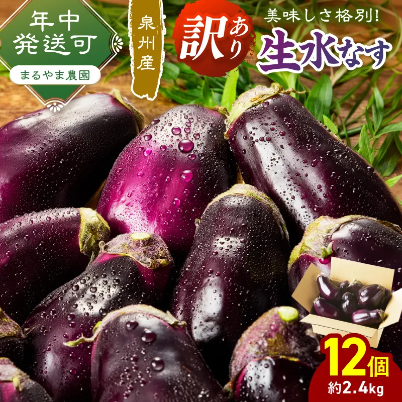 まるやま農園 泉州生水なすB級訳あり品 12個入【087D-159】