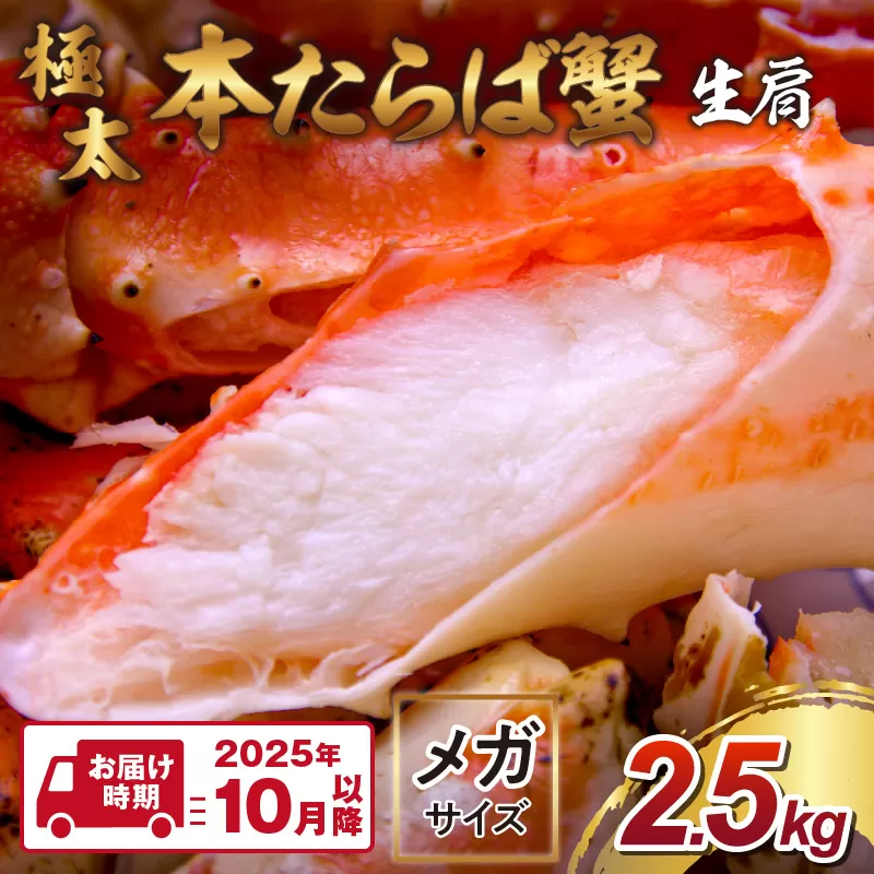 【1肩2.5kgの超極太10L以上メガサイズ】本たらば蟹 生肩 2.5kg【2025年10月以降の発送】【087B-030】