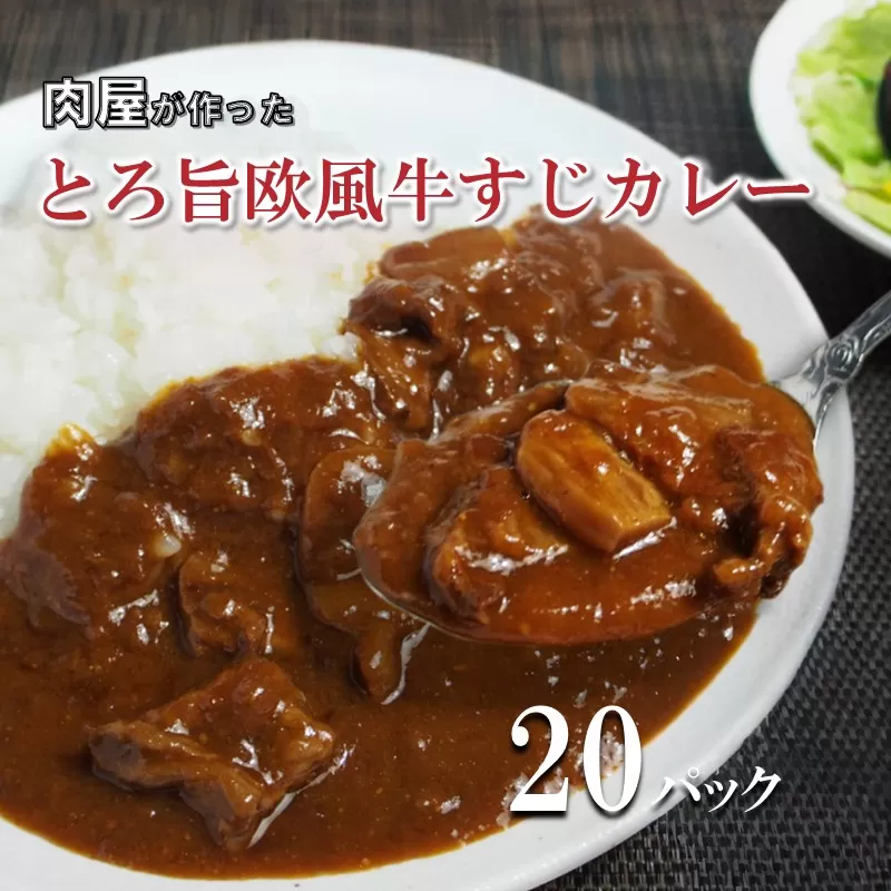 とろ旨欧風牛すじカレー（200g×20パック）【配送不可地域：北海道・沖縄】【069C-001】