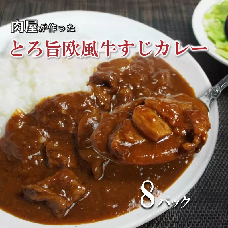 とろ旨欧風牛すじカレー（200g×8パック）【配送不可地域：北海道・沖縄】【069D-011】