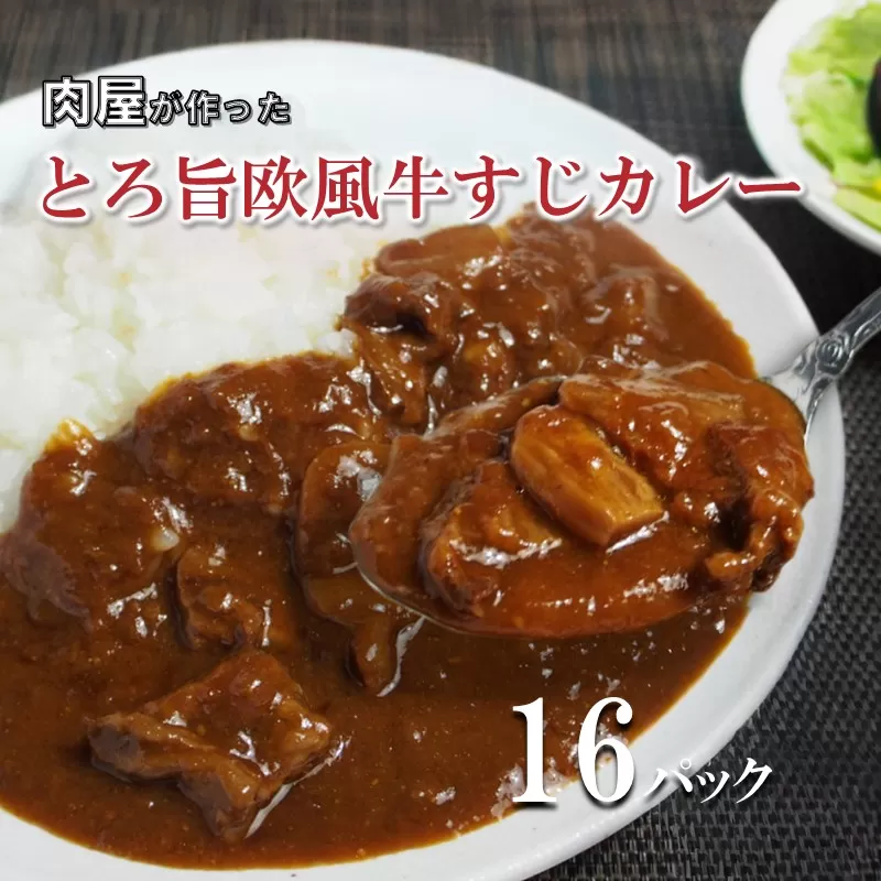 とろ旨欧風牛すじカレー（200g×16パック）【配送不可地域：北海道・沖縄】【069D-014】