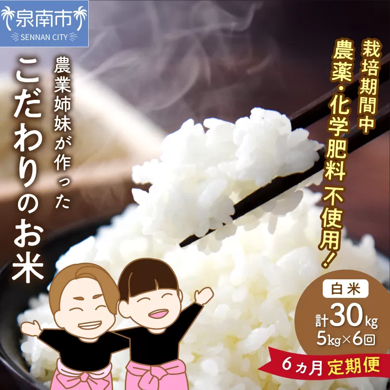 農業姉妹がこだわって栽培！ 大阪府産 泉南市のお米 白米5kg 半年定期便【024A-024】