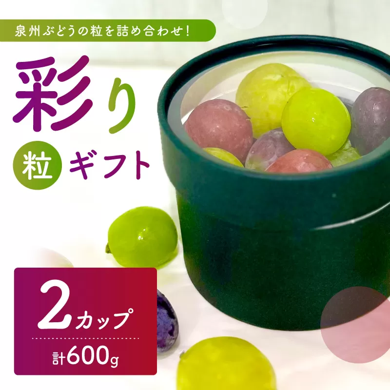 泉州ぶどう【彩り粒ギフト】色とりどりのぶどうのギフト ー彩珠ー【065D-022】