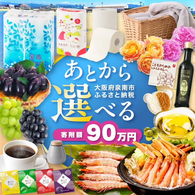 あとからセレクト【ふるさとギフト】90万円【119A-010】