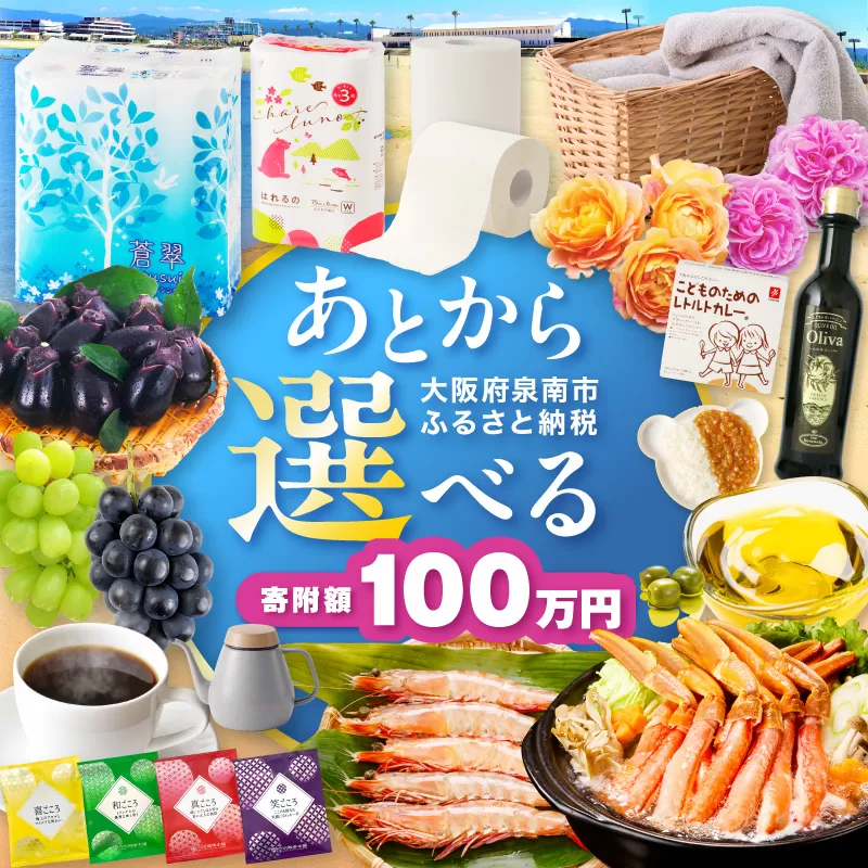 あとからセレクト【ふるさとギフト】100万円【119A-011】