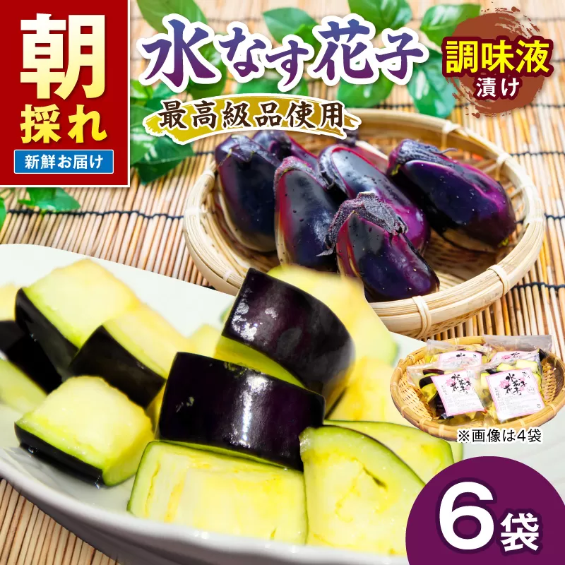 泉南銘産 水なす調味液漬け 水なす花子 6袋【042D-015】