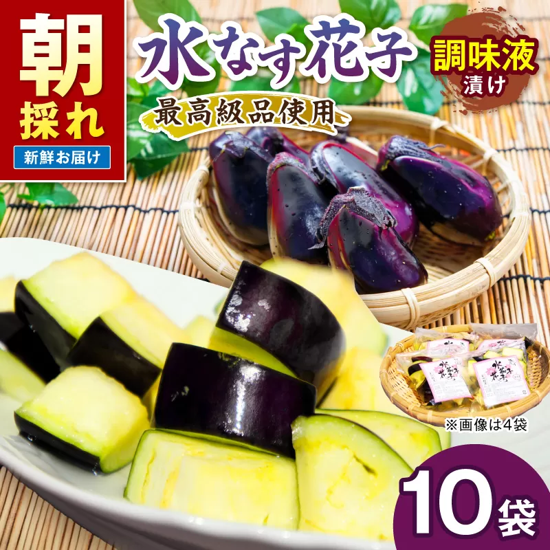 泉南銘産 水なす調味液漬け 水なす花子 10袋【042D-021】