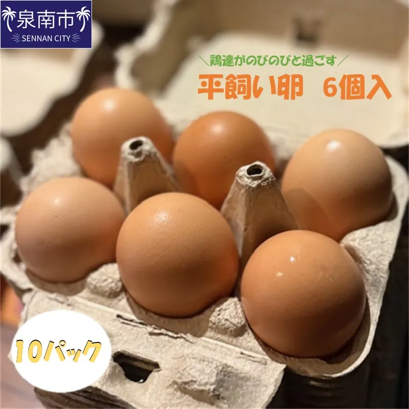 とまり木ファームの平飼い卵（6個入×10パック）【124C-001】