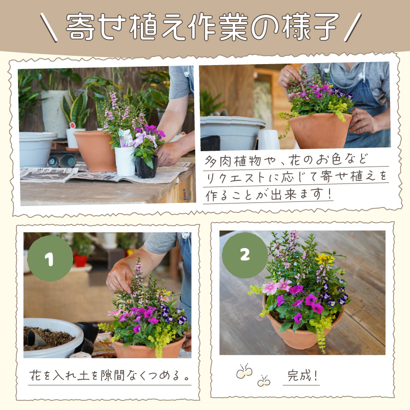 ふるさと納税 季節の花の寄せ植え 25cm鉢【005D-005】 大阪府