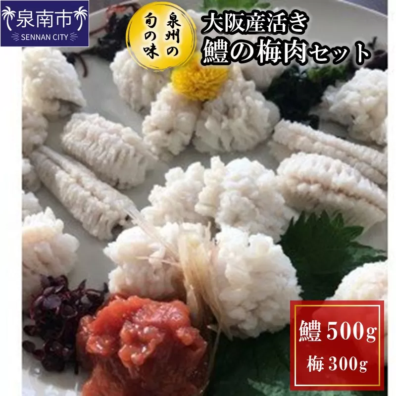 【泉州の旬の味】大阪産活き鱧の梅肉セット【配送不可地域：北海道・沖縄・離島】【015D-021】