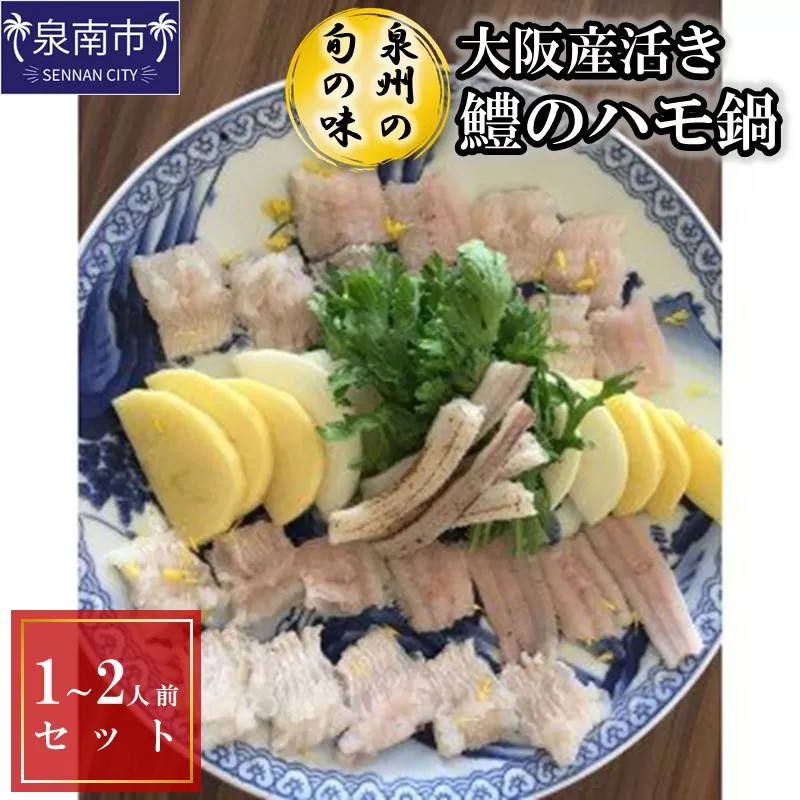 【泉州の旬の味】大阪産活き鱧のハモ鍋（1～2人前）セット【配送不可地域：北海道・沖縄・離島】【015D-020】