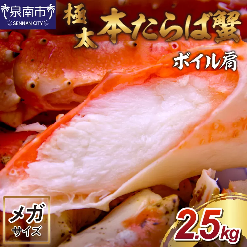 【1肩2.5kgの超極太10L以上メガサイズ】本たらば蟹 ボイル肩 2.5kg【087B-024】