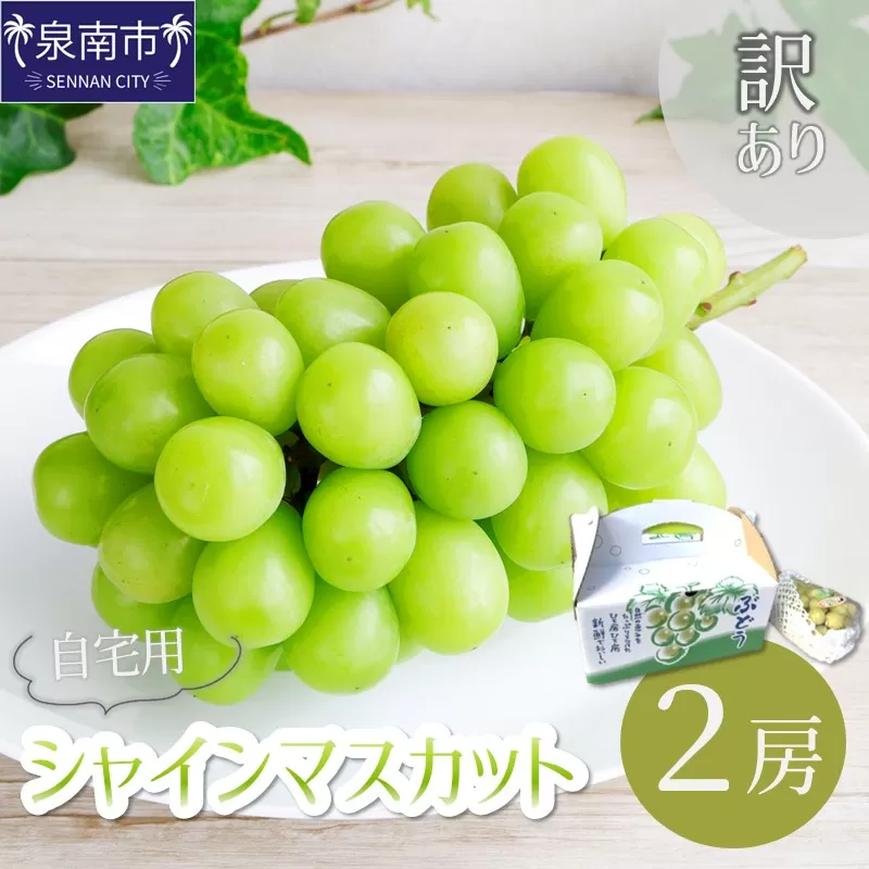訳あり 自宅用シャインマスカット【配送不可地域：北海道・沖縄・離島】【089D-002】